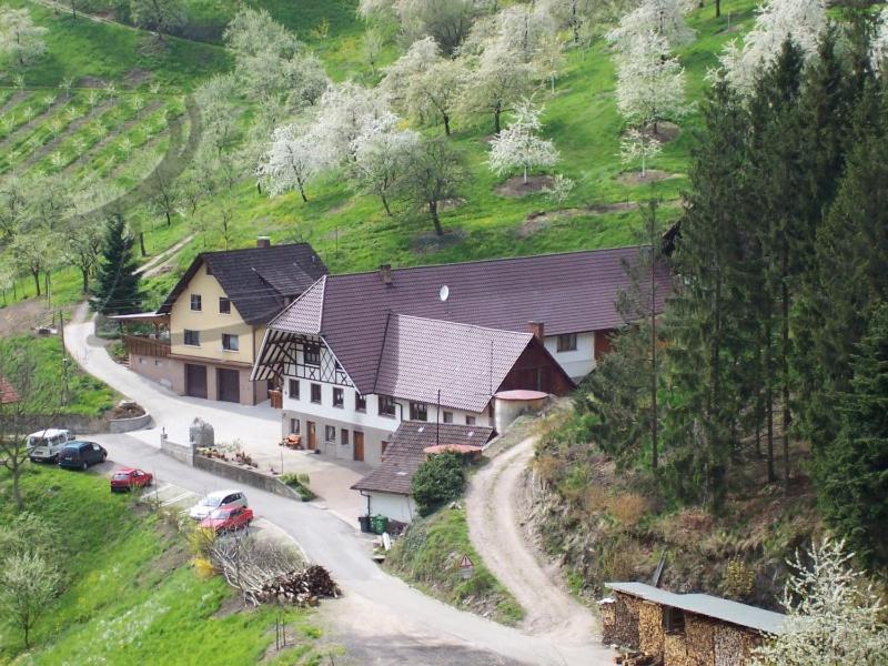 Ferienwohnung Schneckenhus 劳特巴斯 外观 照片